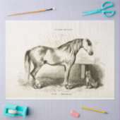 Paard en Hond Ephemera Decoupage  Frans Tissuepapier (Craft)