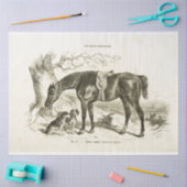 Paard en Honden Ephemera Decoupage  Frans Tissuepapier (Craft)