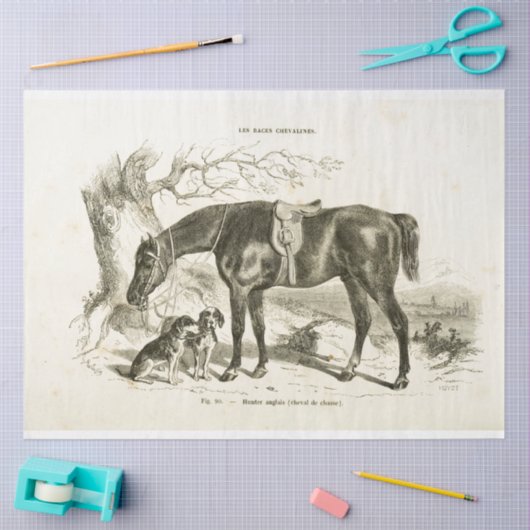 Paard en Honden Ephemera Decoupage  Frans Tissuepapier (Craft)