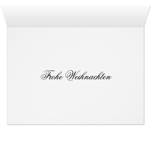 Paard en koets in Neurenberg met Kerstmis (Binenzijde Horizontaal (Onderkant))