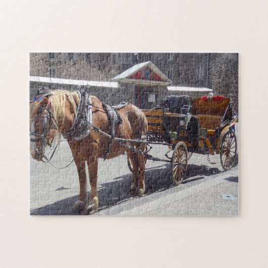 Paard en koets Montreal. Legpuzzel (Horizontaal)