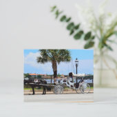 Paard en koets St. Augustine, Fl. Briefkaart (Staand voorkant)