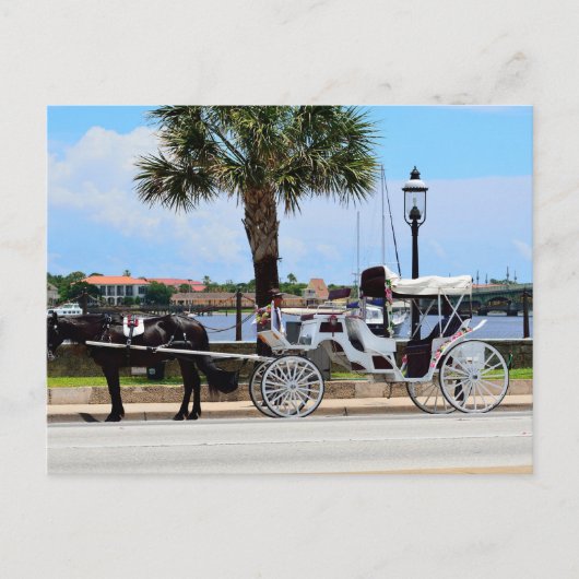 Paard en koets St. Augustine, Fl. Briefkaart (Voorkant)