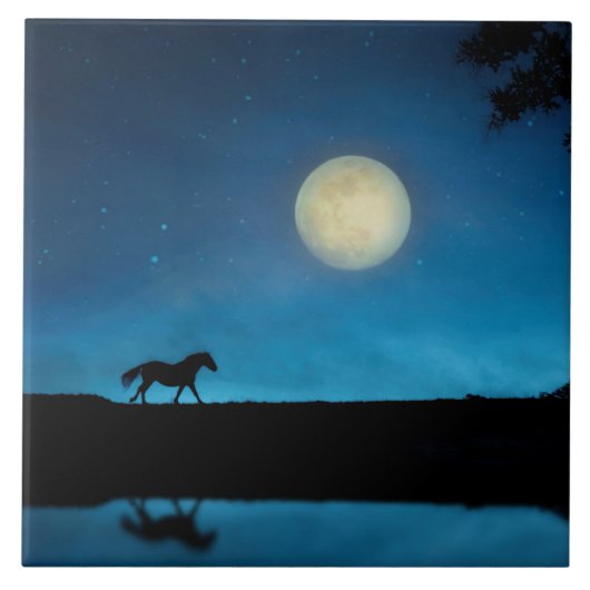  paard en maan met blauwe lucht tegeltje (Voorkant)