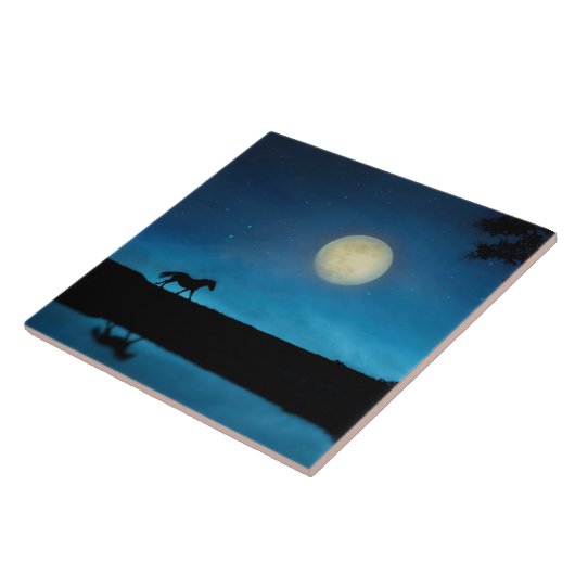  paard en maan met blauwe lucht tegeltje (Zijkant)