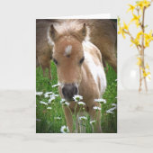 Paard en madeliefjes kaart (Gele Bloem)