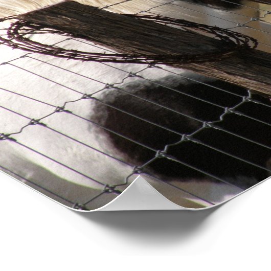 Paard en omheining verven poster (Hoek)