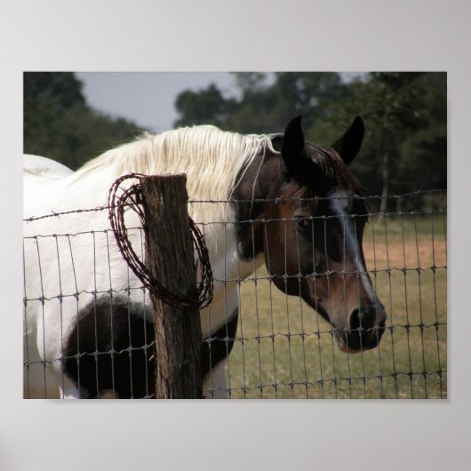 Paard en omheining verven poster (Voorkant)