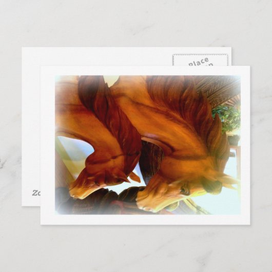 paard en pony briefkaart (Voorkant / Achterkant)