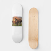 Paard en pony persoonlijk skateboard (Voorkant)