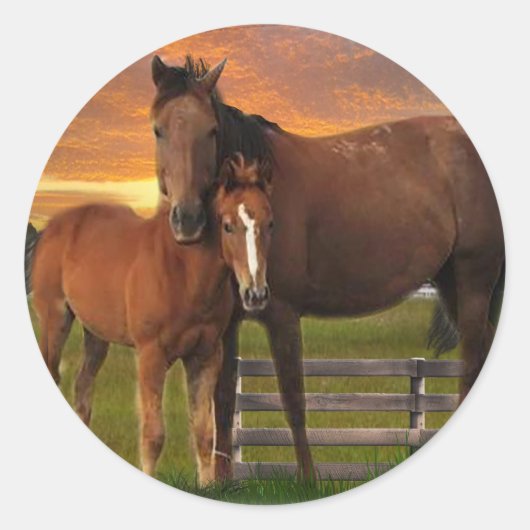 Paard en pony ronde sticker (Voorkant)