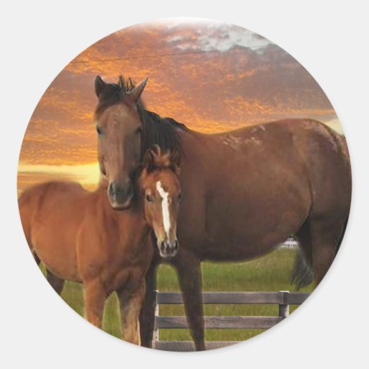Paard en pony ronde sticker (Voorkant)