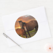 Paard en pony ronde sticker (Envelop)