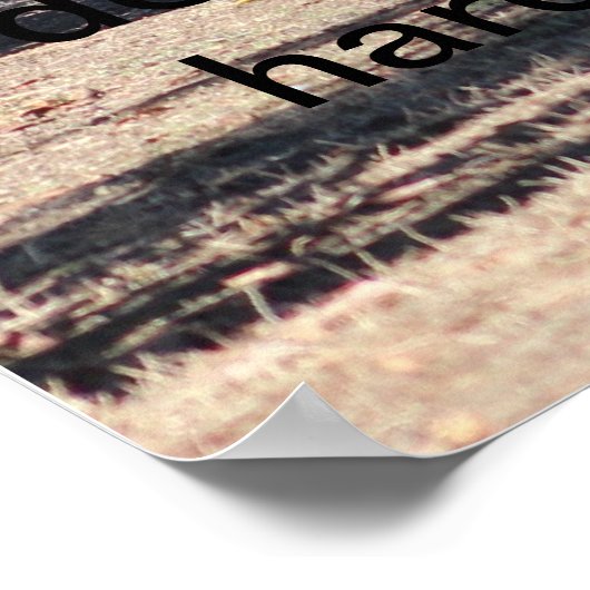 paard- en rijdereventjes poster (Hoek)