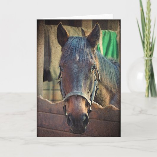  paard en stabiel Wenskaart Kaart (Voorkant)