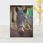 paard en stabiel Wenskaart Kaart (Gele Bloem)