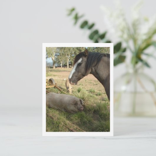 paard en varkens briefkaart (Staand voorkant)