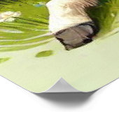 Paard en veulen rusten in een lente setting poster (Hoek)