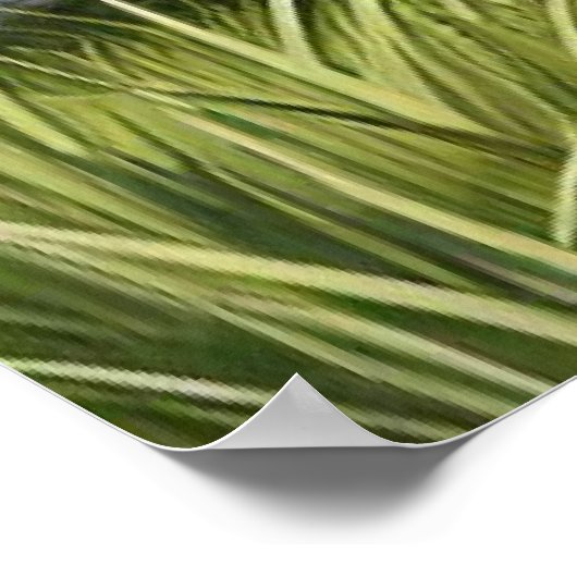 Paard en veulen rusten te midden van bloeiende bom poster (Hoek)