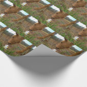 Paard en voorbloem Bunny Cadeaupapier (Hoek)