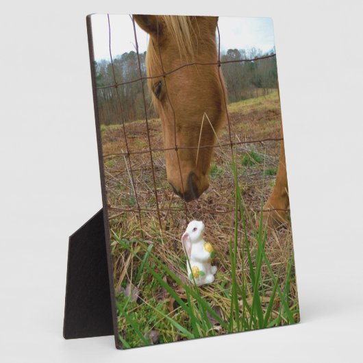 Paard en voorbloem Bunny Fotoplaat (Zijkant)