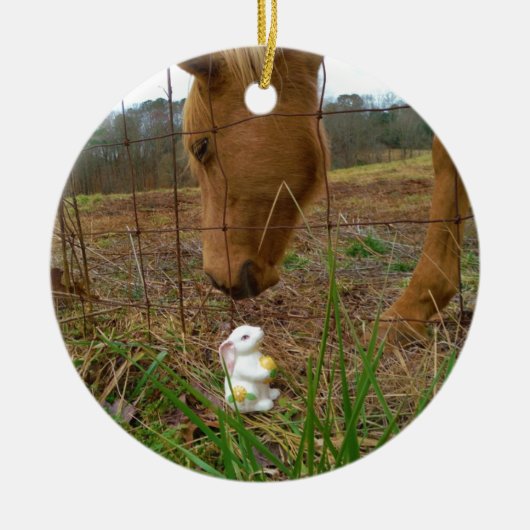 Paard en voorbloem Bunny Keramisch Ornament (Voorkant)