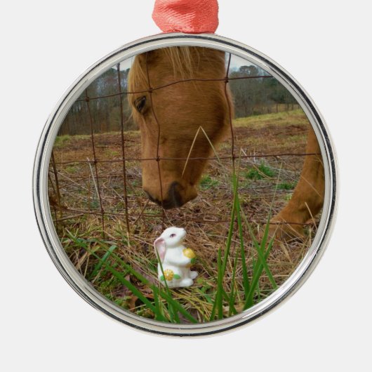 Paard en voorbloem Bunny Metalen Ornament (Voorkant)