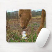 Paard en voorbloem Bunny Muismat (Met muis)