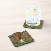 Paard en voorbloem Bunny Onderzetter (Rechterzijde)