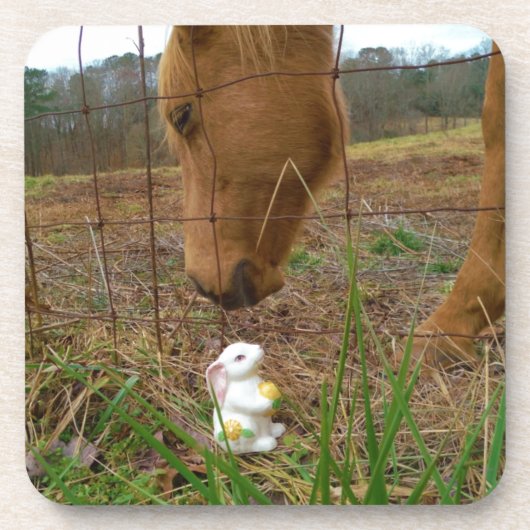 Paard en voorbloem Bunny Onderzetter (Voorkant)