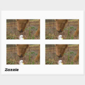 Paard en voorbloem Bunny Rechthoekige Sticker (Vel)