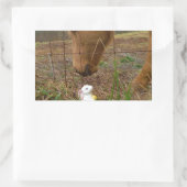 Paard en voorbloem Bunny Rechthoekige Sticker (Tas)