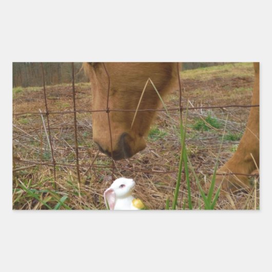 Paard en voorbloem Bunny Rechthoekige Sticker (Voorkant)