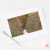 Paard en voorbloem Bunny Rechthoekige Sticker (Envelop)