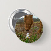 Paard en voorbloem Bunny Ronde Button 5,7 Cm (Voorkant /achterkant)