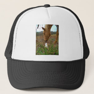 Paard en voorbloem Bunny Trucker Pet