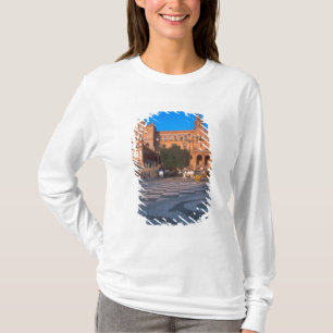 Paard-en-wagen in de Plaza de Espana in T-shirt