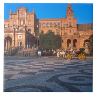 Paard-en-wagen in de Plaza de Espana in Tegeltje