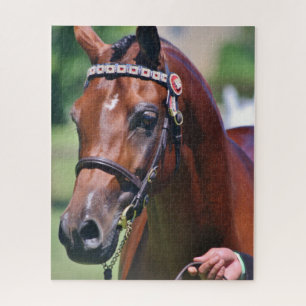 Paard Equestrian Arabisch ras Legpuzzel