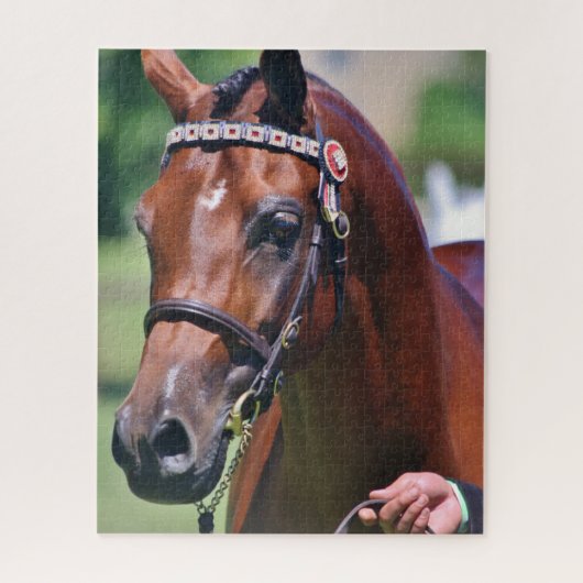 Paard Equestrian Arabisch ras Legpuzzel (Verticaal)