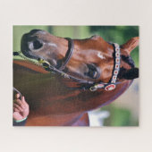 Paard Equestrian Arabisch ras Legpuzzel (Horizontaal)