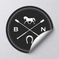 Paard Equine Elegant Paardrijden Ruitersport