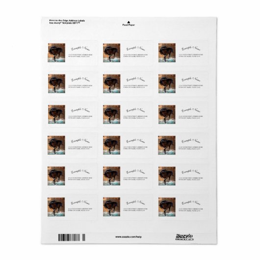 Paard Etiket (Full Sheet)