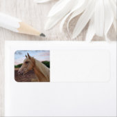 Paard Etiket (Insitu)