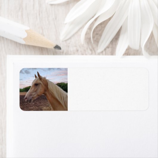 Paard Etiket (Insitu)