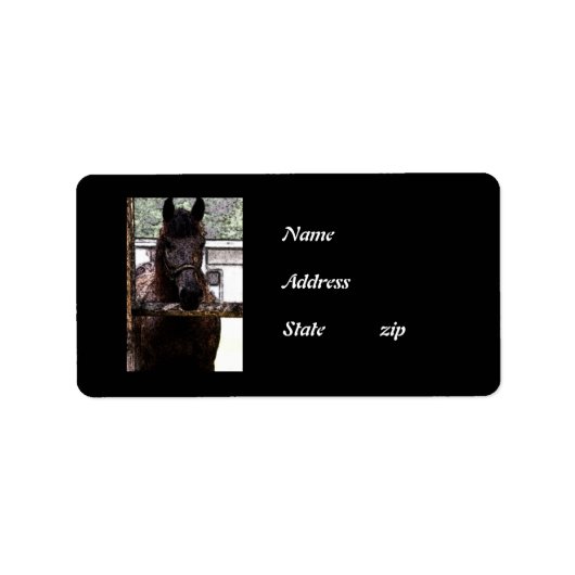 Paard Etiket (Voorkant)