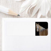 Paard Etiket (Insitu)