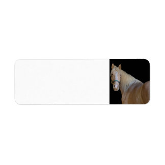 Paard Etiket