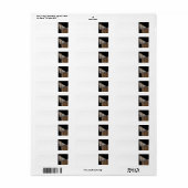 Paard Etiket (Full Sheet)