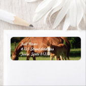 Paard familie retouradres Mailinglabels Etiket (Insitu)